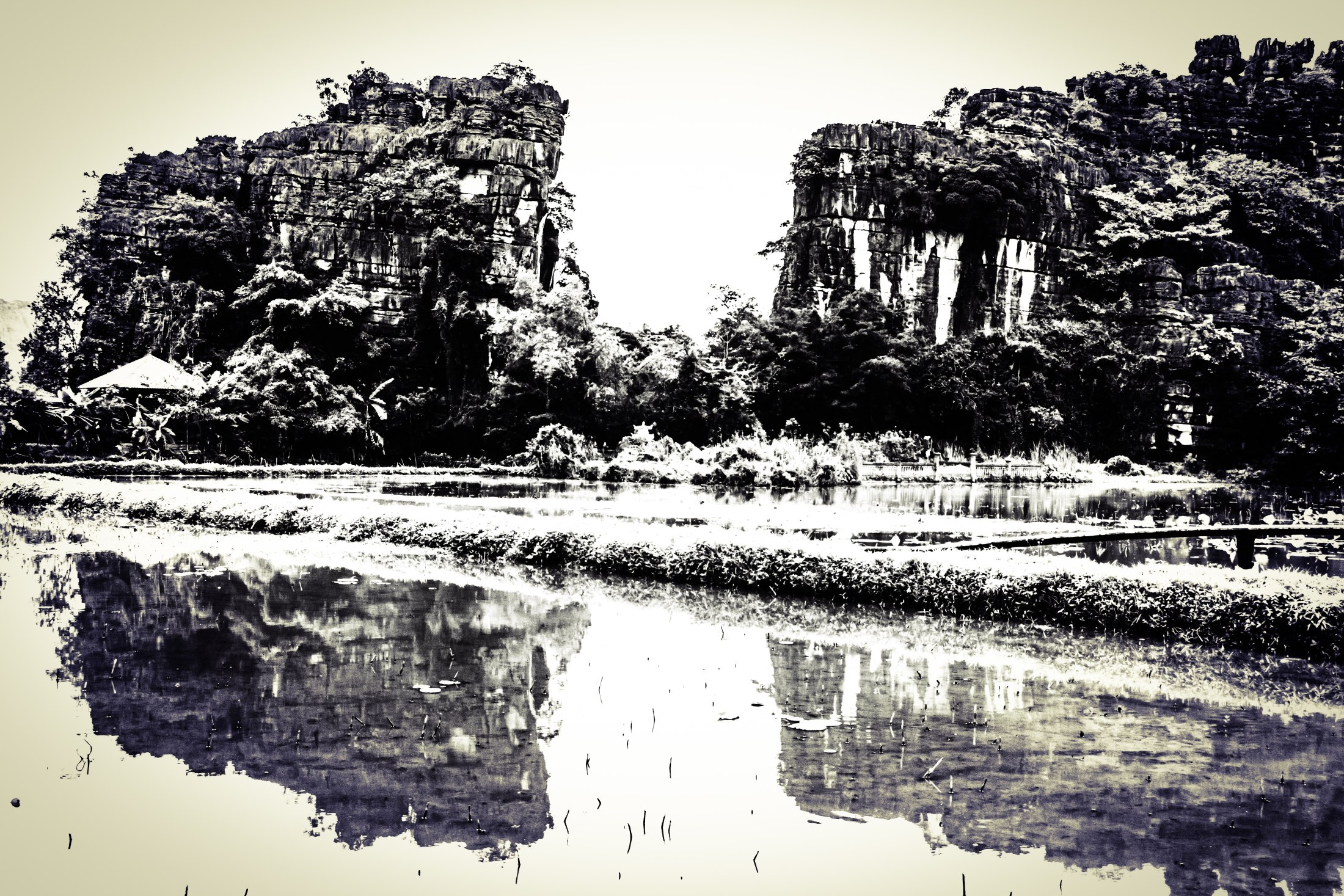 -/ dripping reality /-