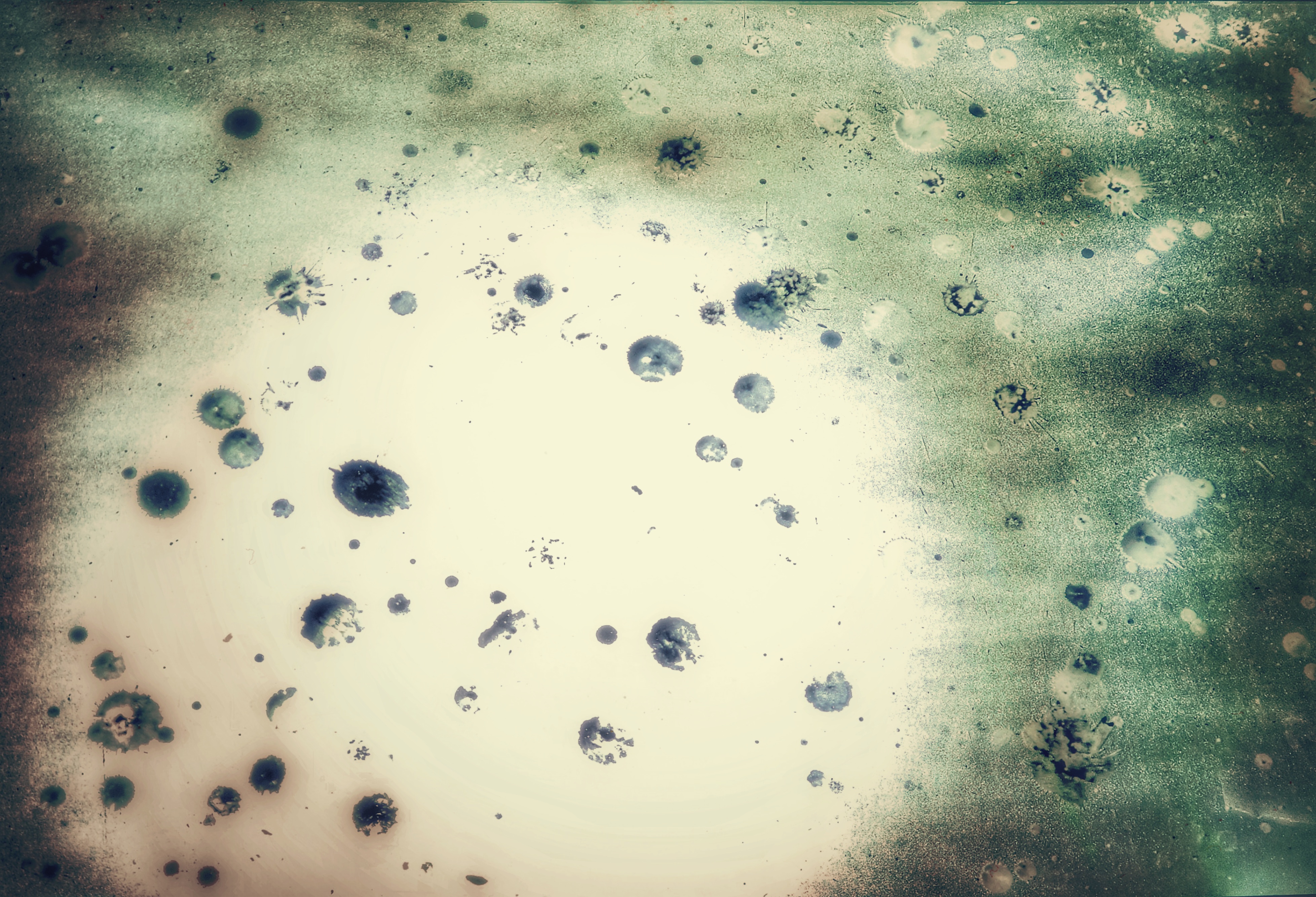 -/ fading sun /-