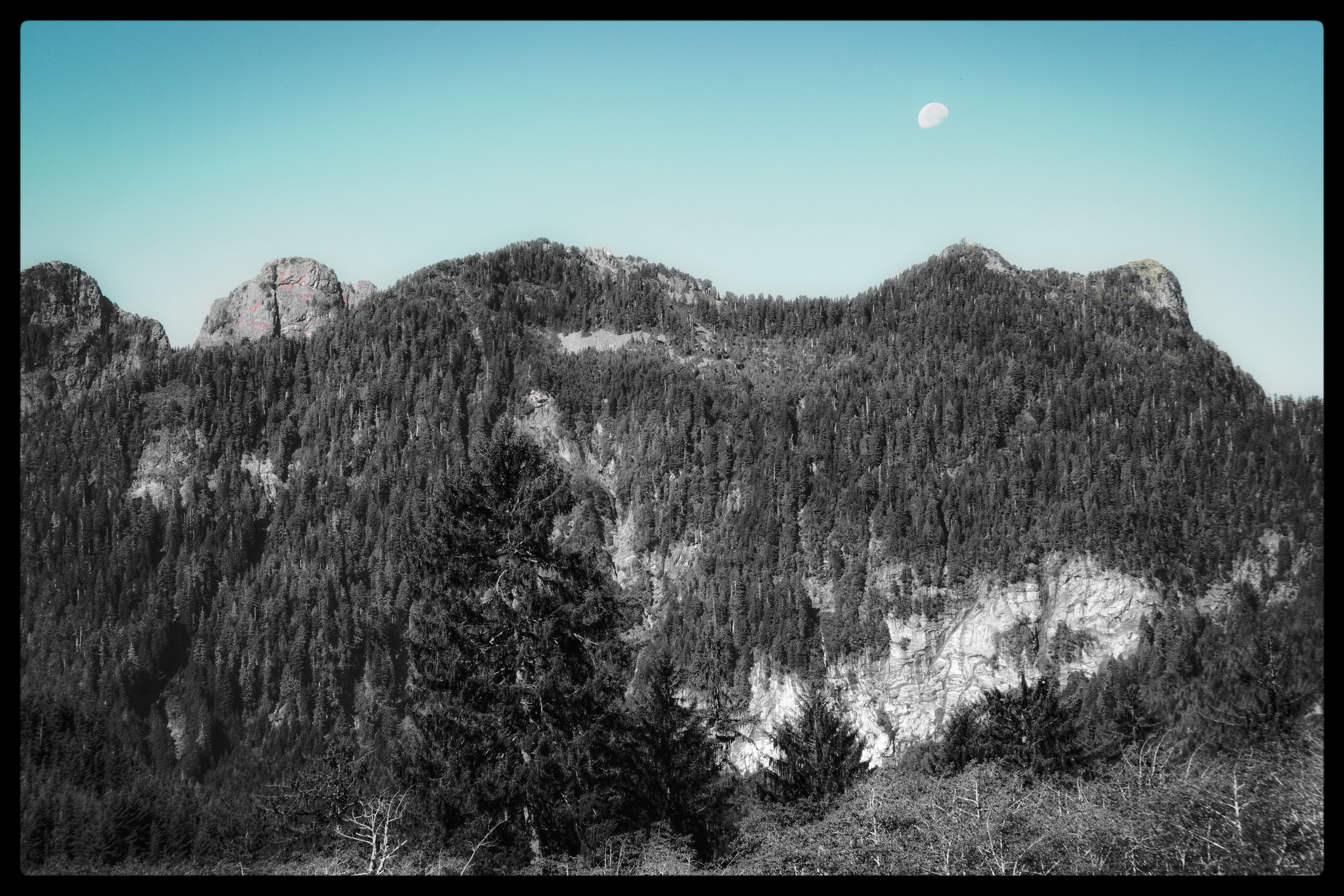 -/ where the bear keeps the moon /-