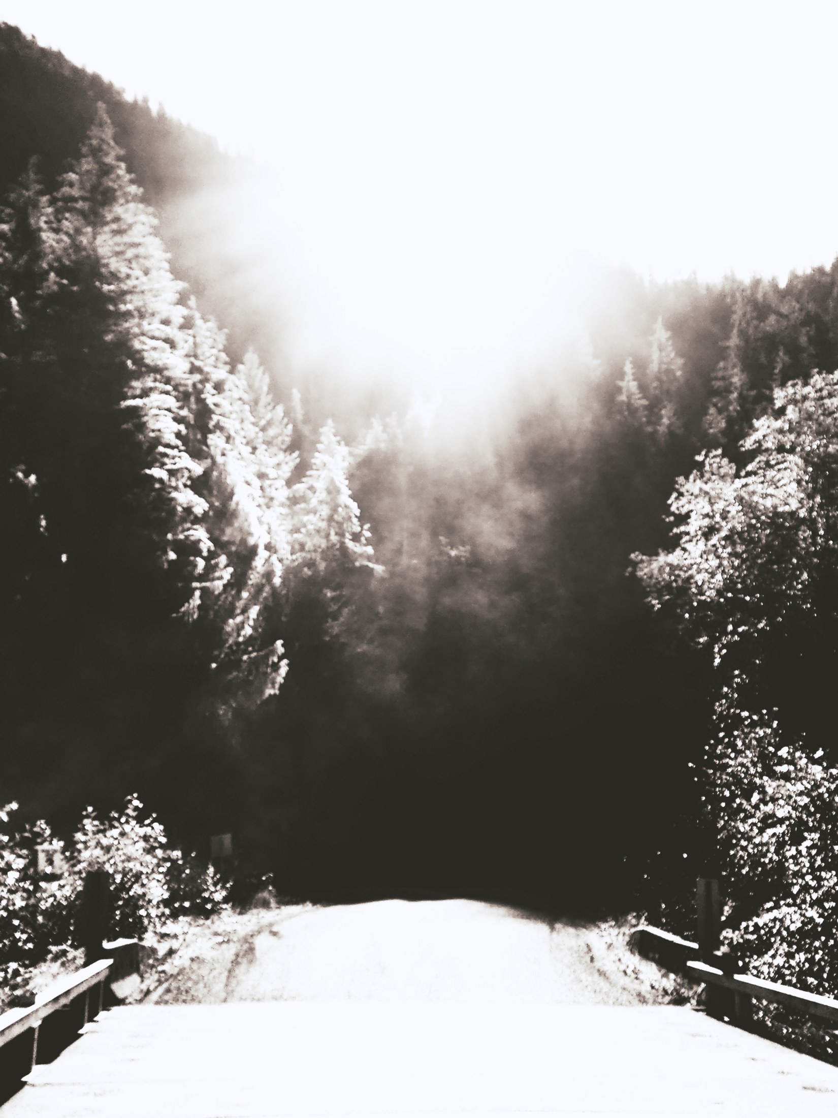 -/ uncharted /-