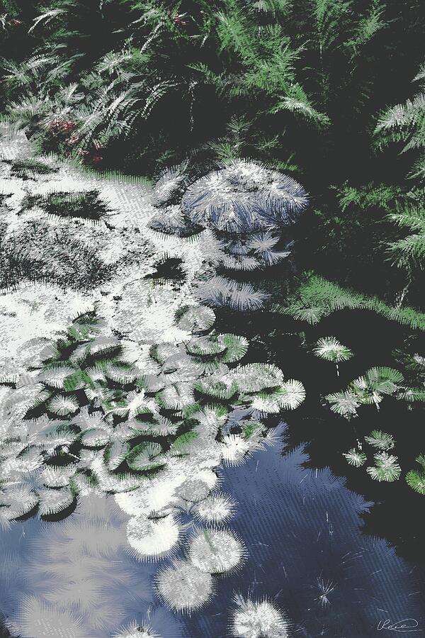 -/ between frames of mind /- of Lilypads