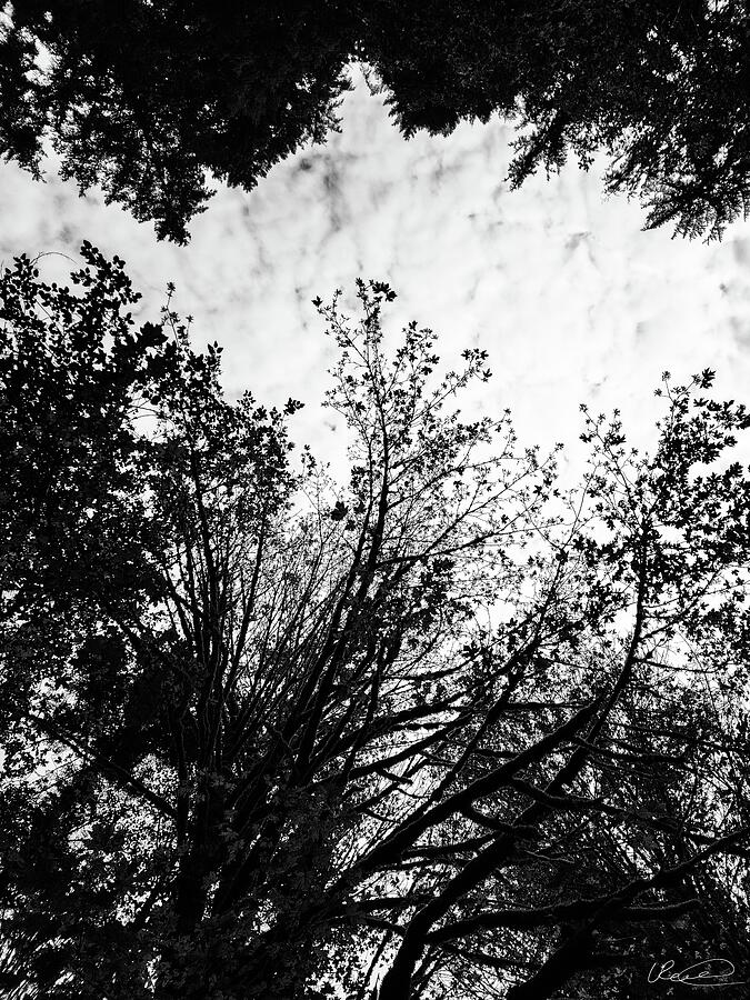 Sky River 1