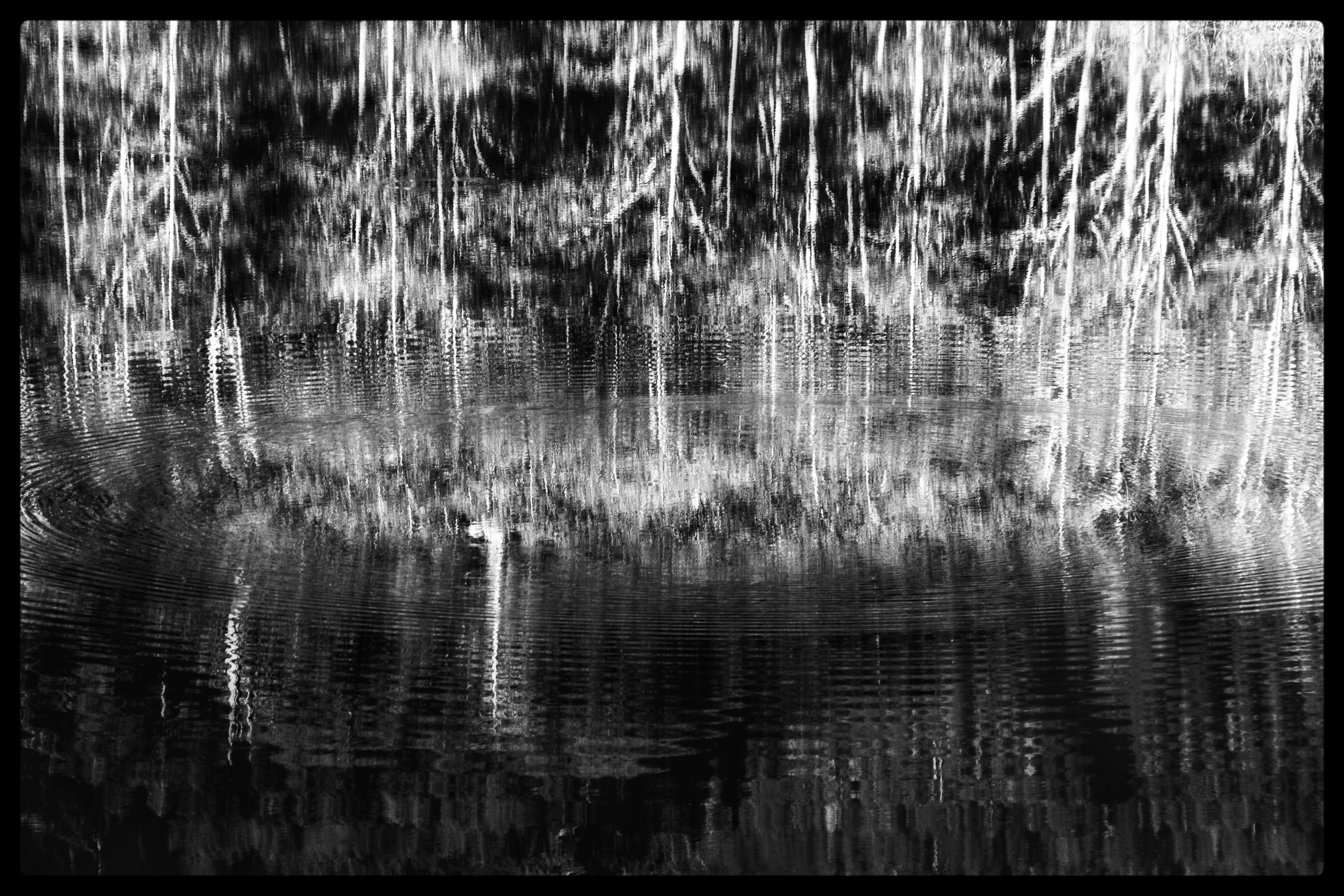-/ where light breaks softly /-