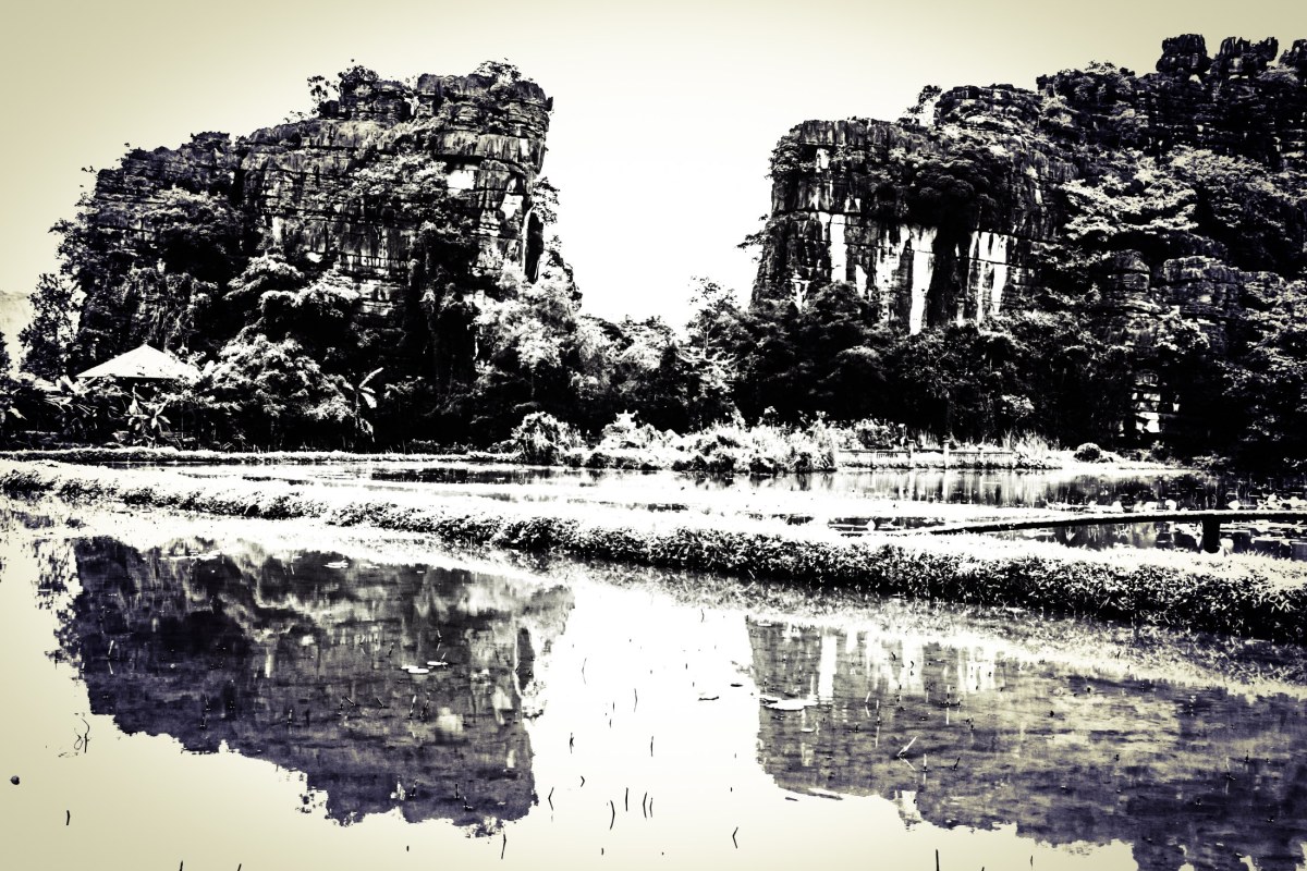 -/ dripping reality /-