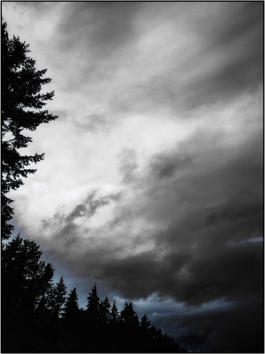 -/ the storm remembers /-