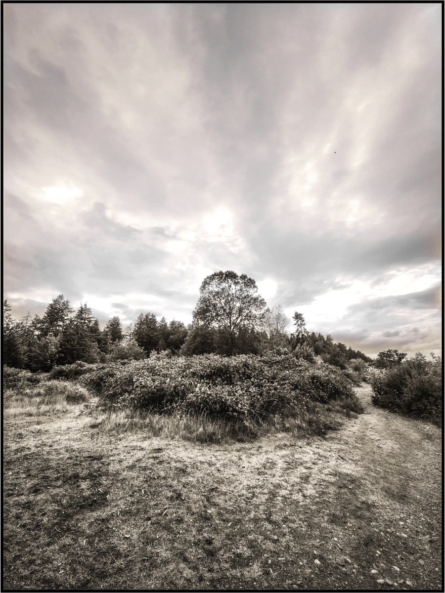 -/ before choosing a path /-