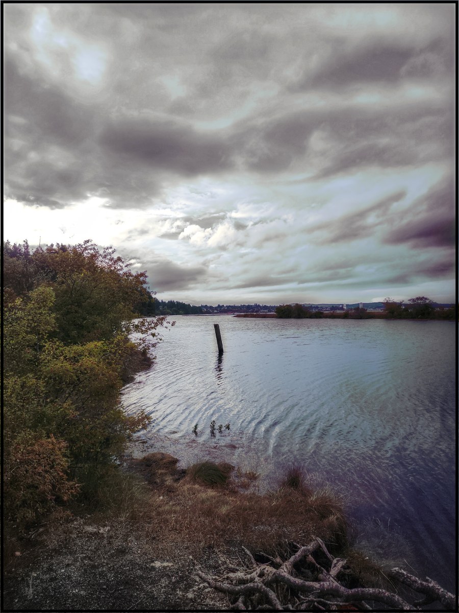 -/ what the water refused to take /-