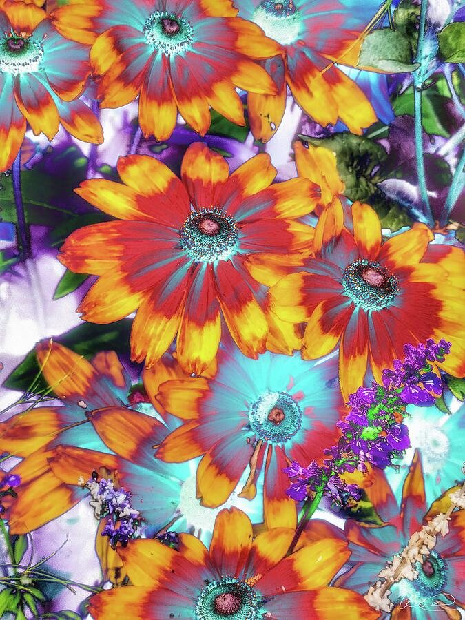 Neon Fireblooms