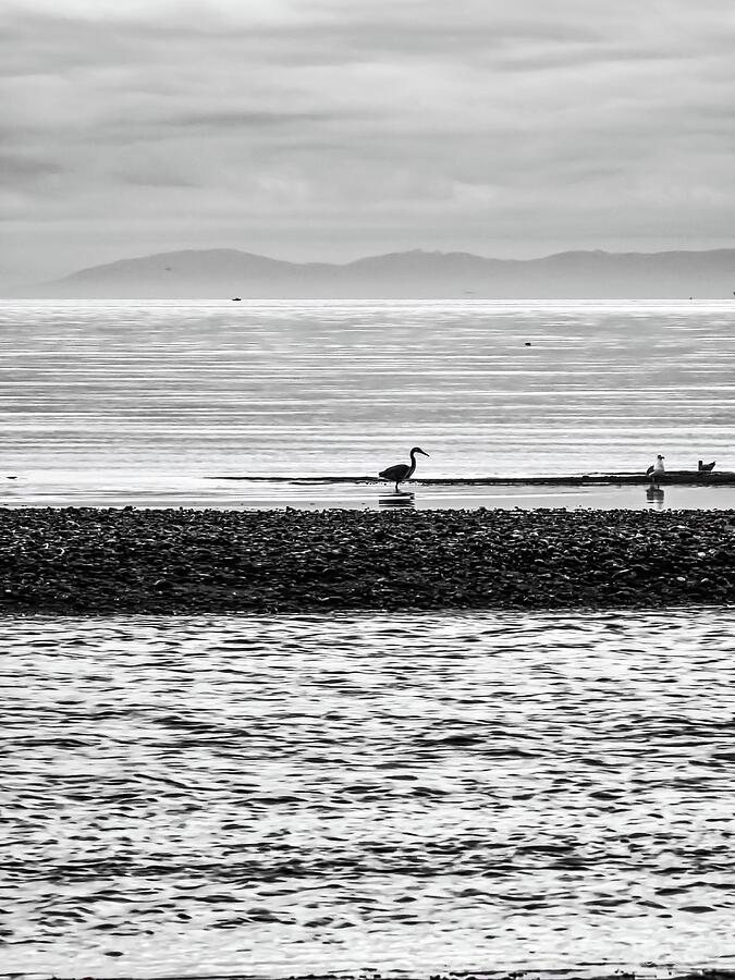 Searching