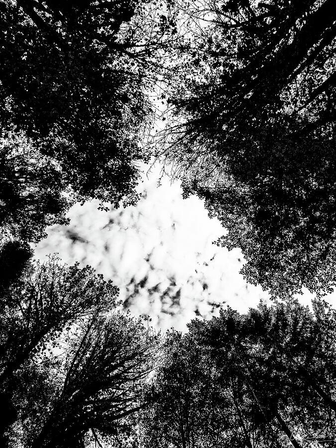 Sky River 3